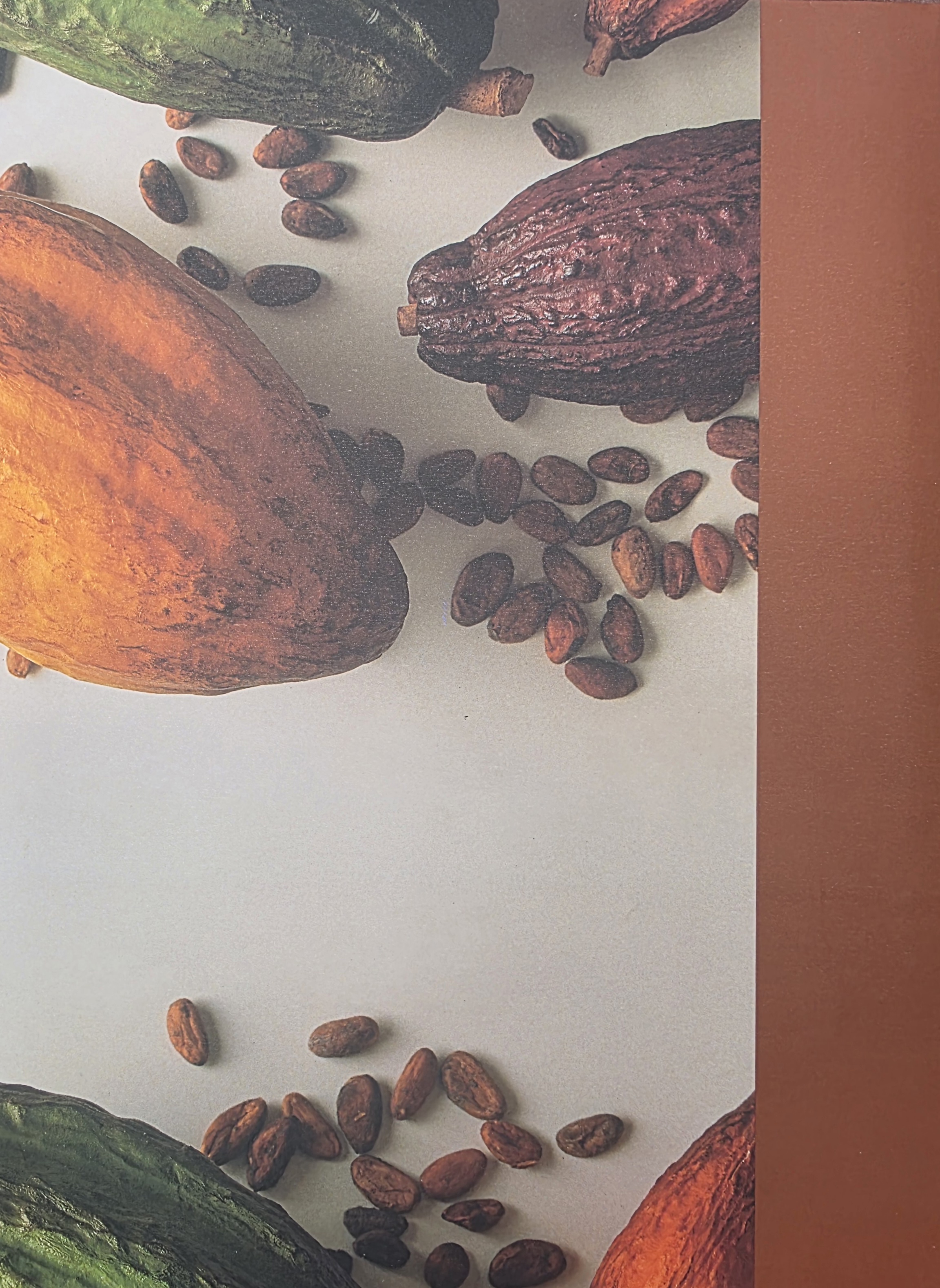 Contraportada del libro El cacao en Venezuela, moderna tecnolog&iacute;a para su cultivo